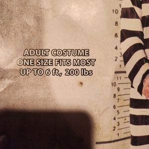 Prisoner costume